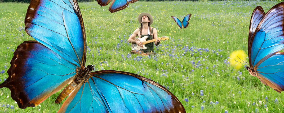 blue morph butterflies fly mystically around a musician in a field of wildflowers