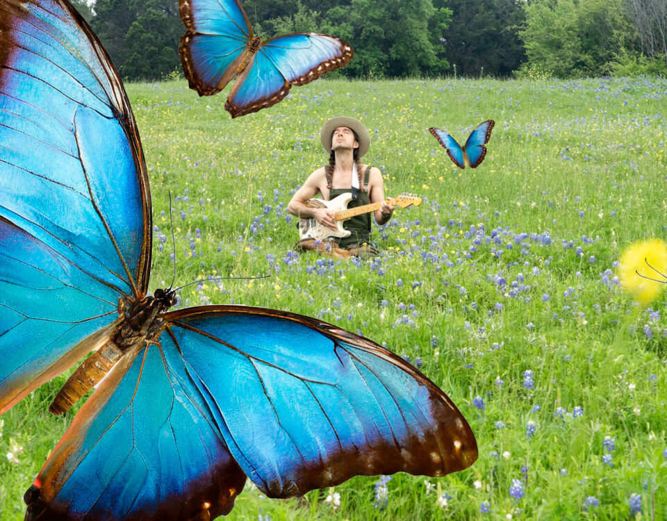 blue morph butterflies fly mystically around a musician in a field of wildflowers